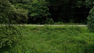 Foto 9-11-24, 10 13 44 a. m.